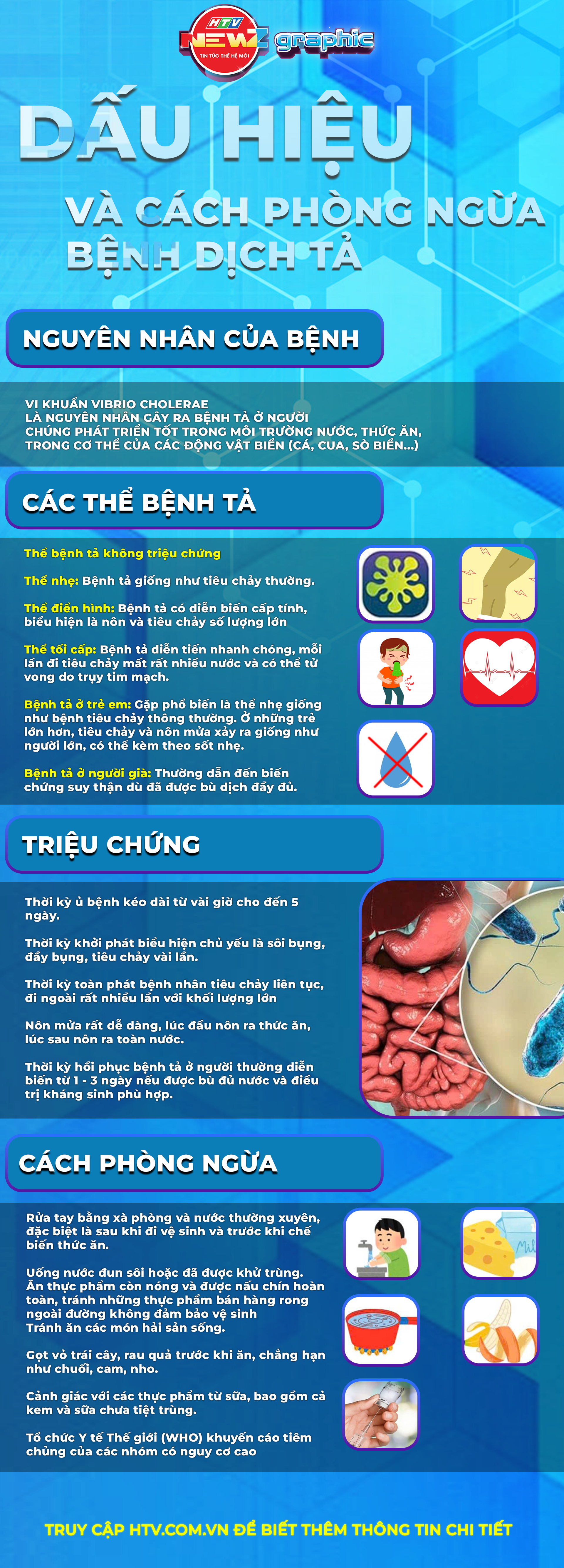 NewZgraphic: Dấu hiệu và cách phòng ngừa bệnh dịch tả - Ảnh 1.