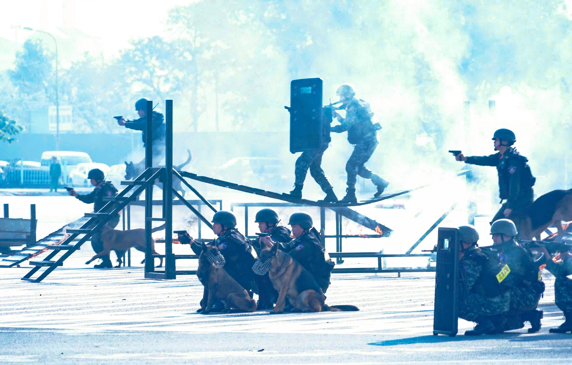 - Ảnh 25. - Ảnh 25.