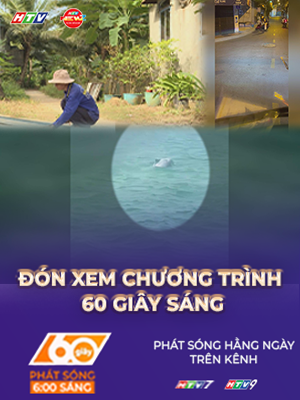 60 Giây ngày 12/1/2026 | TP. Hồ Chí Minh: Xử phạt tài xế không chấp hành đo nồng độ cồn