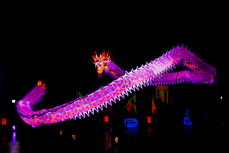 Hồng Kông rộn ràng đón Tết Bính Ngọ với chuỗi lễ hội sôi động khắp thành phố - Ảnh 5.