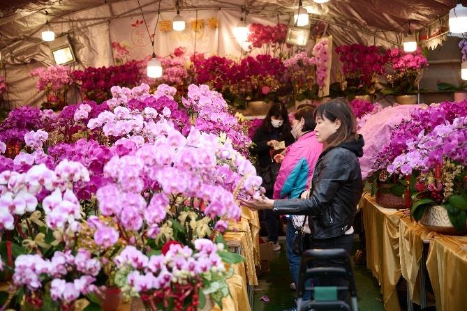 Hồng Kông rộn ràng đón Tết Bính Ngọ với chuỗi lễ hội sôi động khắp thành phố - Ảnh 7.