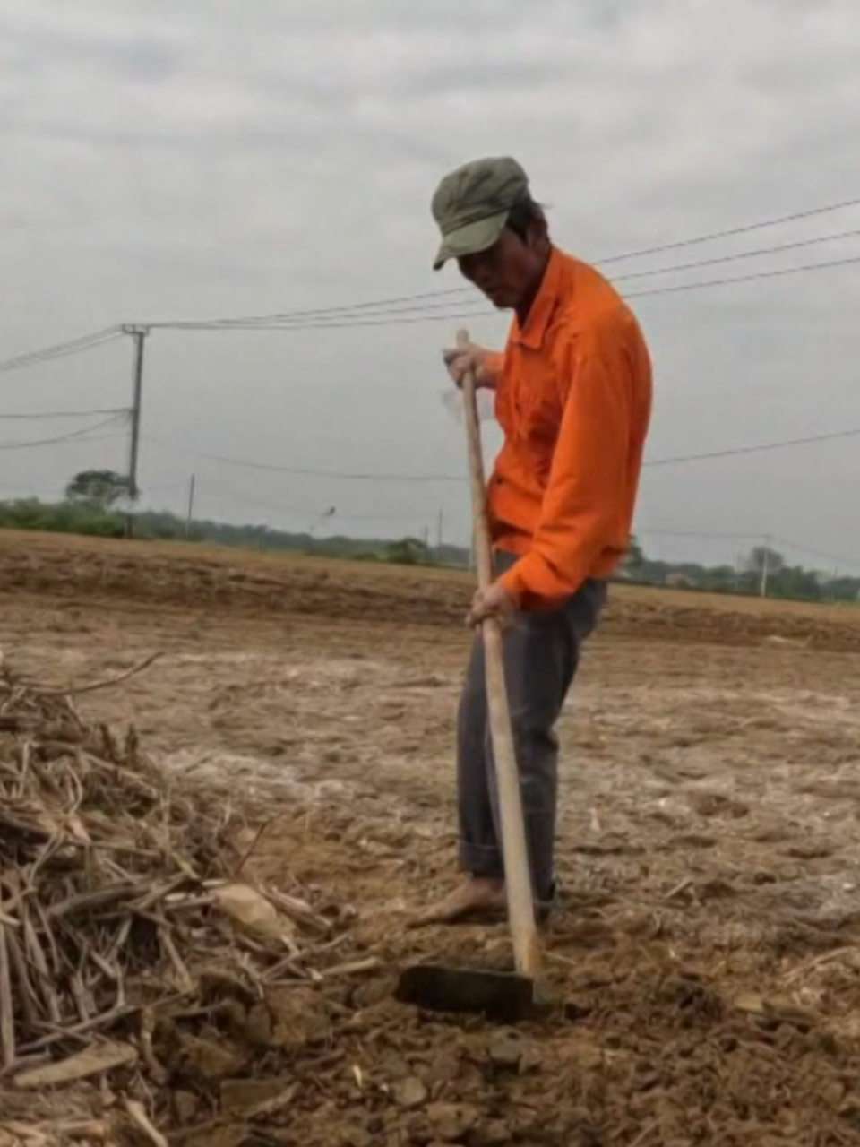 Chậm trễ phục hồi đất sau lũ: Người dân Gò Nổi kêu cứu