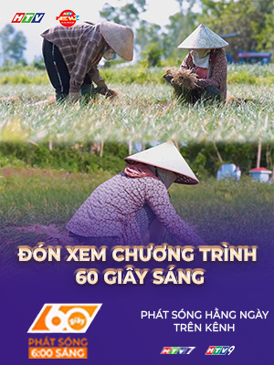 60 Giây ngày 19/1/2026 | Gia Lai: Rộn ràng mùa thu hoạch kiệu Tết