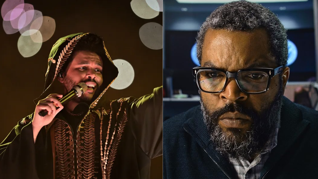 - Ảnh 2. Mâm xôi vàng - Ảnh 2.