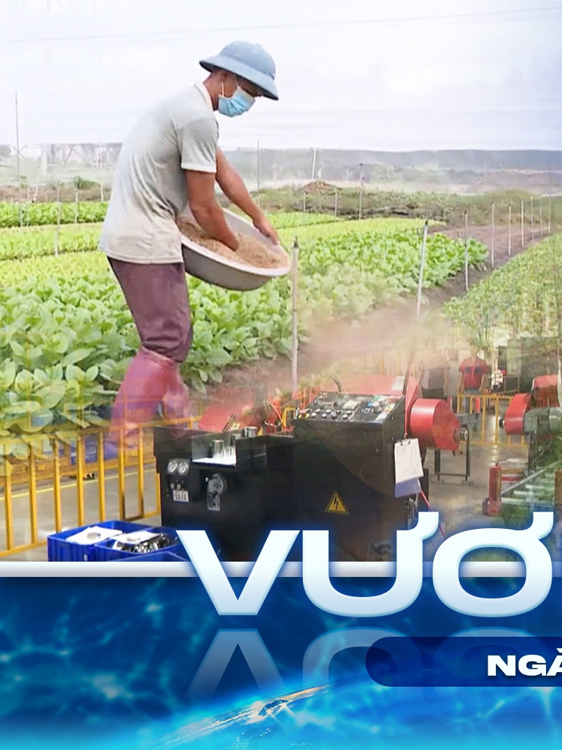 Vươn khơi - Ngày 23/1/2026 | Hộ kinh doanh an tâm kê khai thuế từ 2026