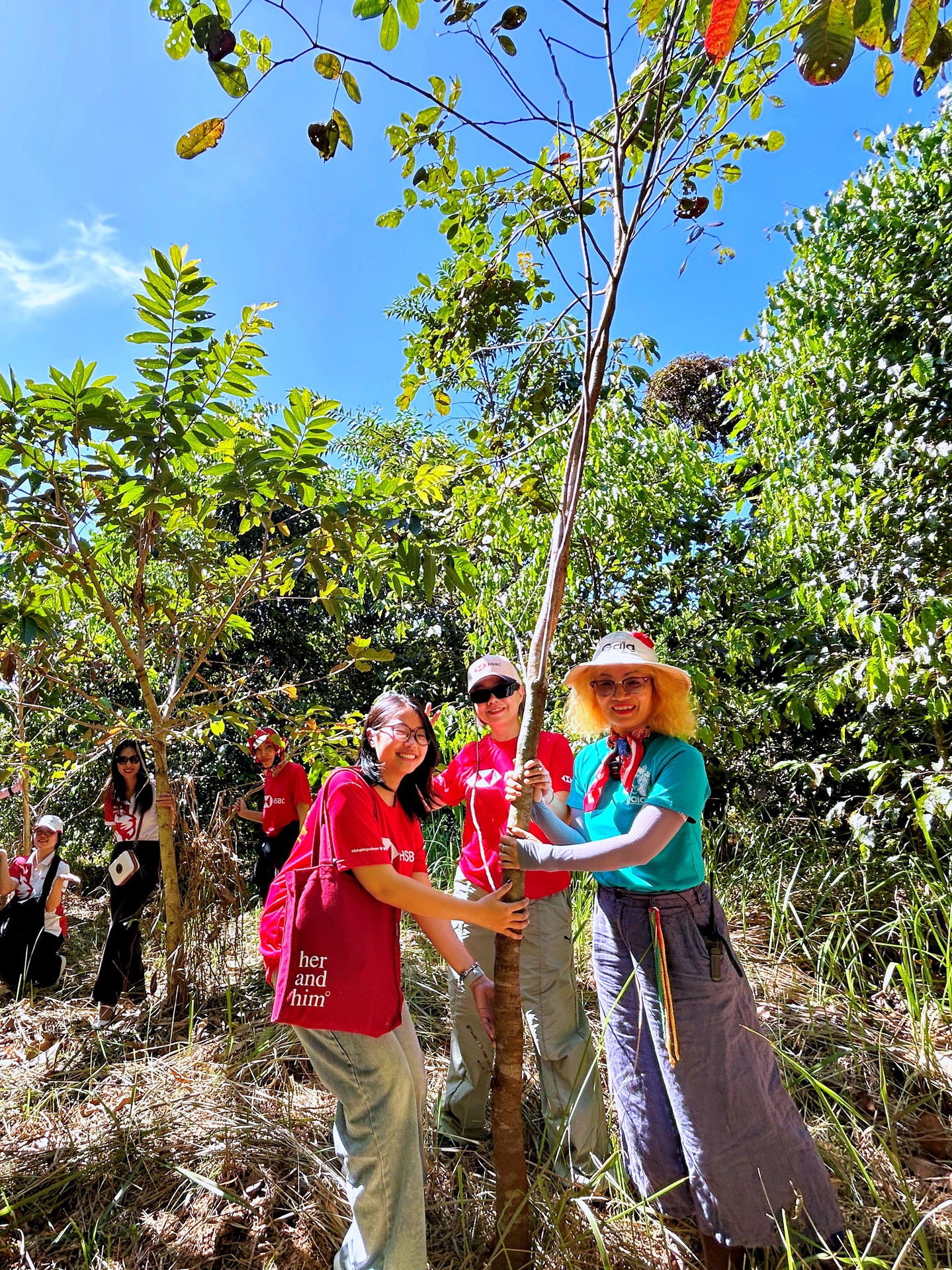 Gaia nghiệm thu thành công gần 29.000 cây rừng tại Bến En và Đồng Nai
