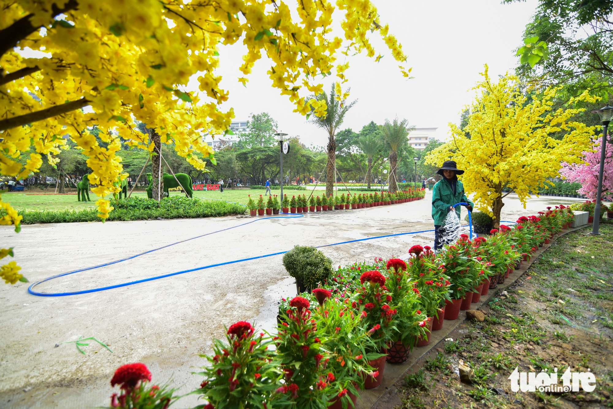 công viên - Ảnh 9.