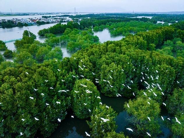 Khám phá hệ sinh thái Đầm Thị Nại qua khóa học nhiếp ảnh tư liệu miễn phí - Ảnh 1.