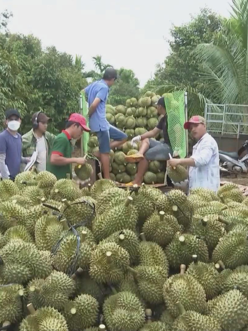 Bộ Nông nghiệp và Môi trường tổng kết ngành năm 2025 và định hướng năm 2026