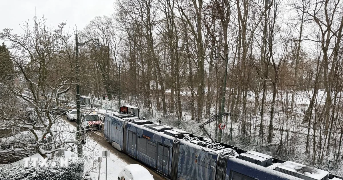 Châu Âu chật vật trong băng tuyết, ít nhất 8 người thiệt mạng