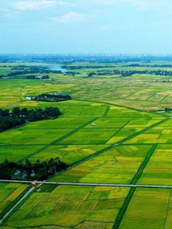 Sửa đổi, bổ sung quy định về phân cấp, phân quyền, phân định thẩm quyền trong lĩnh vực đất đai