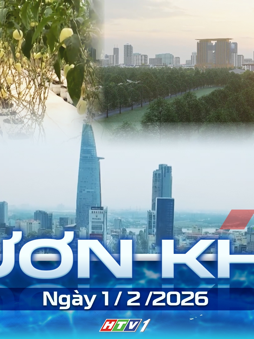 Vươn khơi - Ngày 1/2/2026 | Nông dân trồng mai bước vào thời điểm quan trọng nhất