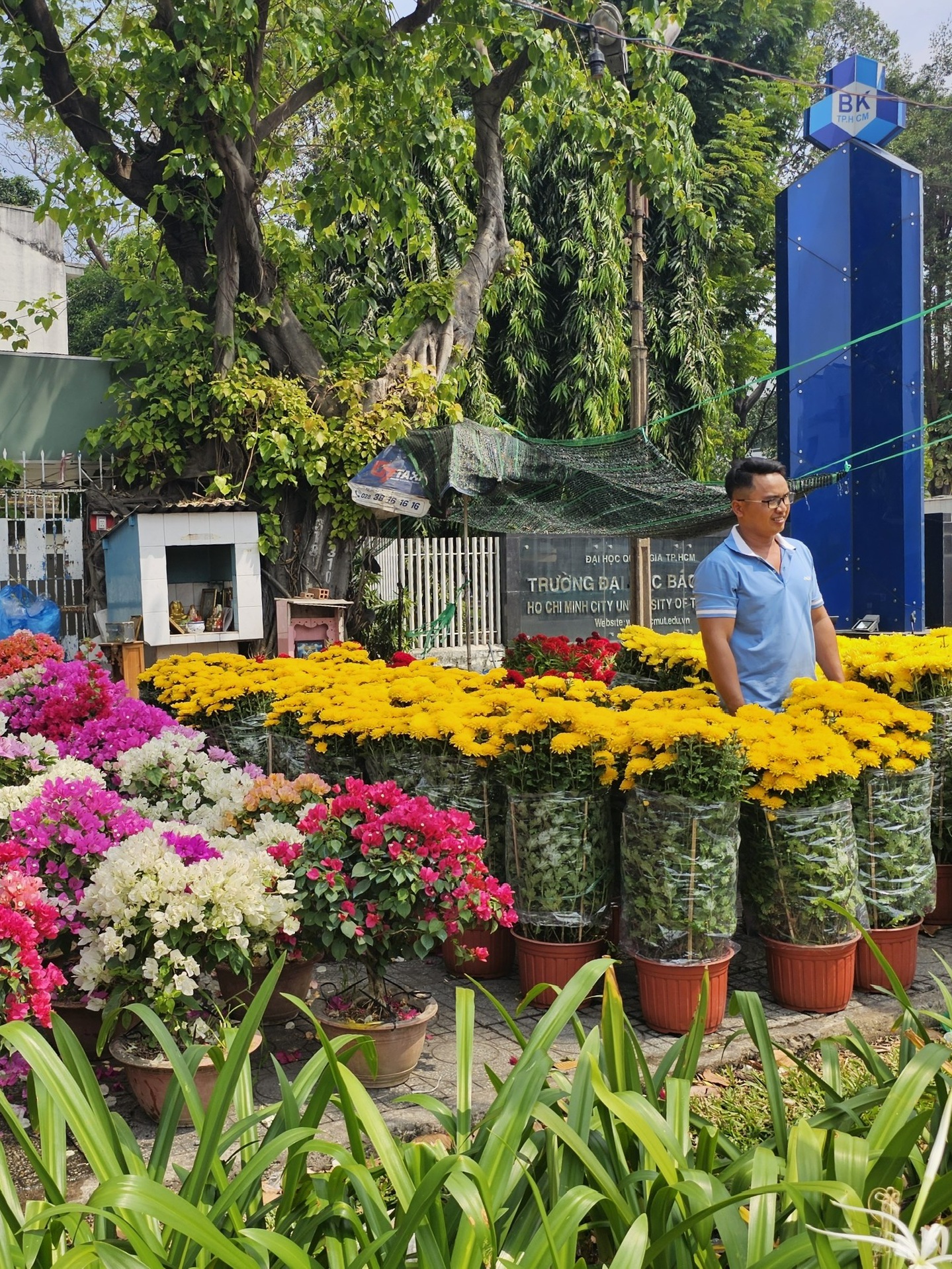 Mùa hoa Tết tại TP.Hồ Chí Minh: đa dạng mẫu mã, giá từ 70 nghìn đồng