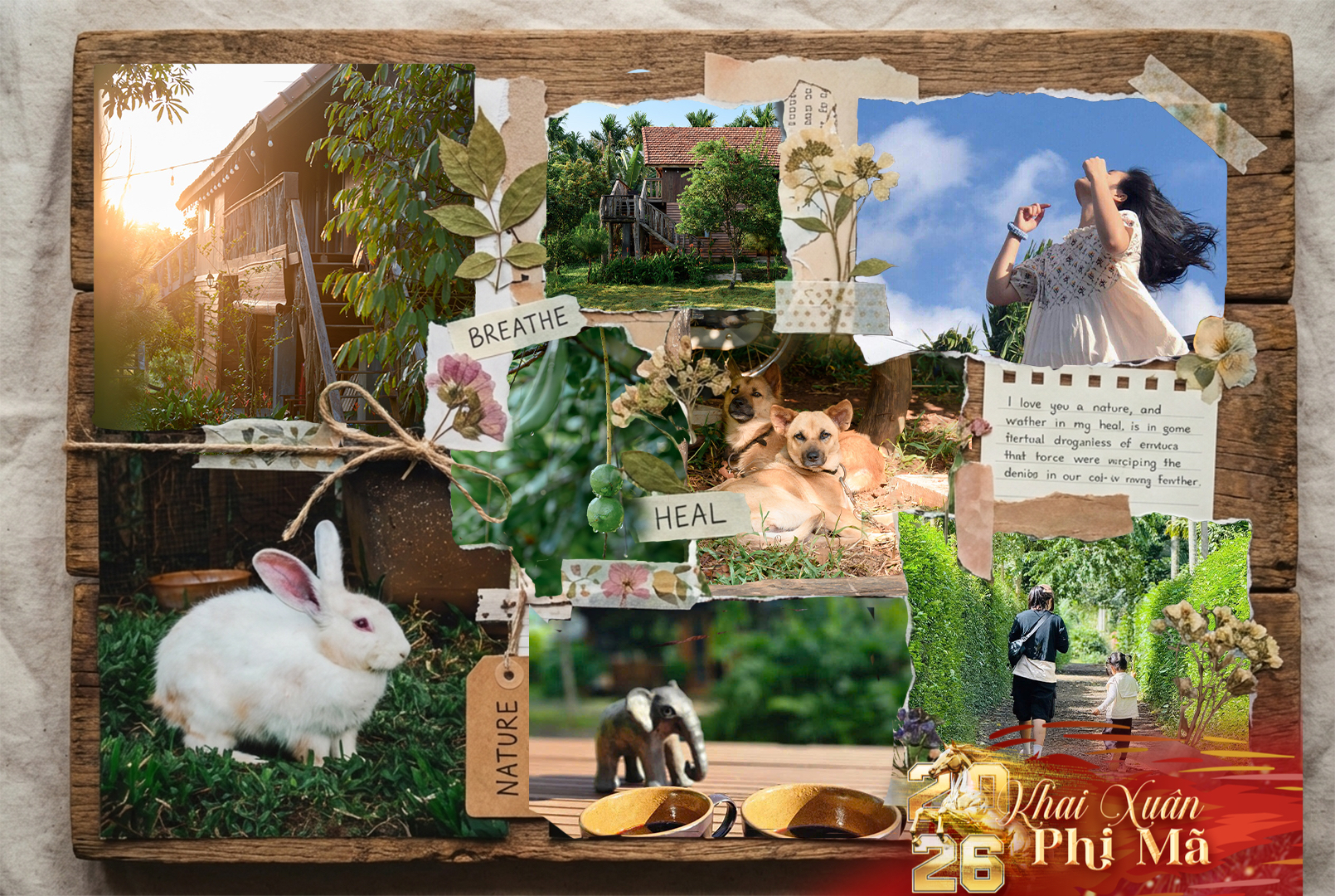 Chuyện “bỏ phố về quê” và nông trại ngựa giữa đại ngàn - Ảnh 2.