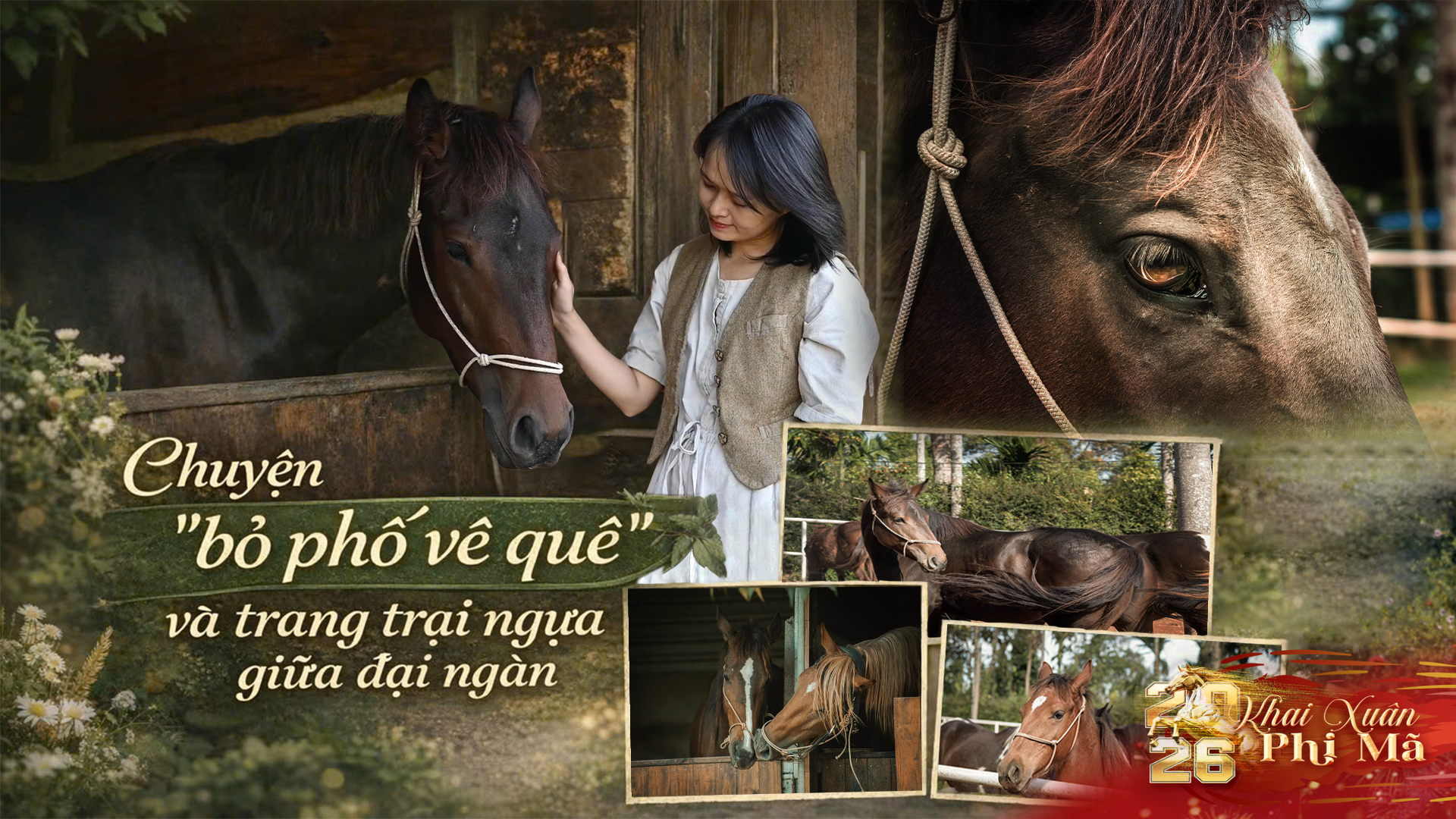 Chuyện “bỏ phố về quê” và nông trại ngựa giữa đại ngàn