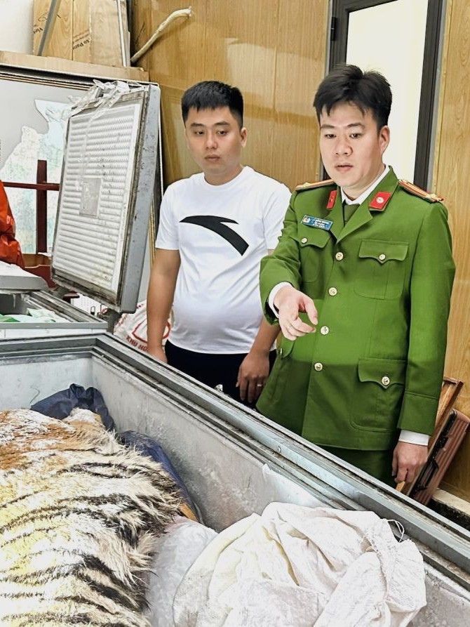 Bỏ 2 tỉ đồng mua 2 con hổ về nấu cao