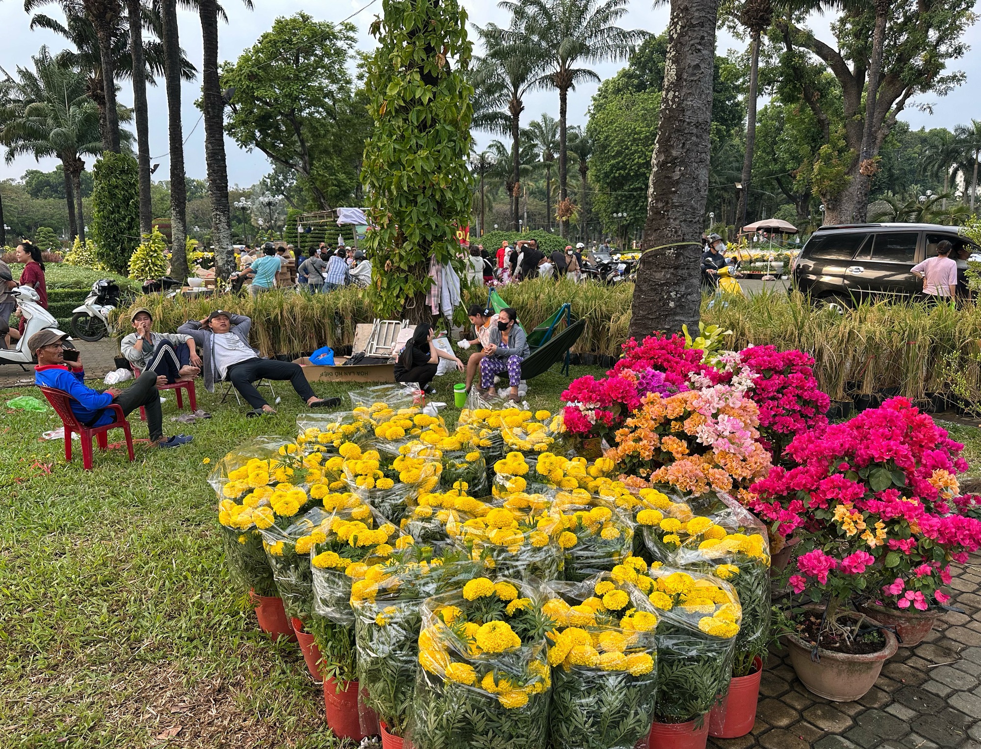 Người dân TP.HCM đi chợ hoa tết cười tươi phơi phới: 'Khỏi phải trả giá, kỳ kèo…' - Ảnh 4.