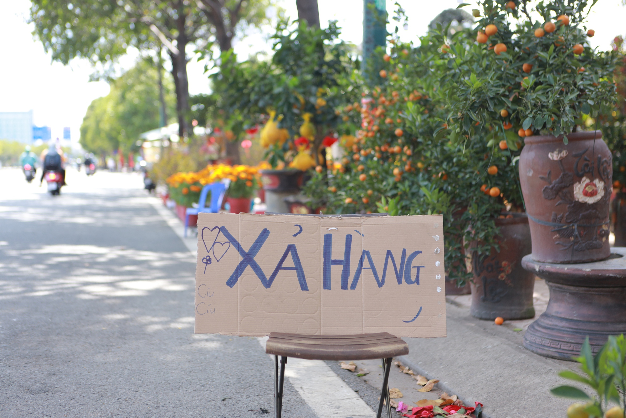 Hoa tết giảm giá “cháy hàng” thu hút người dân mua dịp tết 2026 - Ảnh 1.