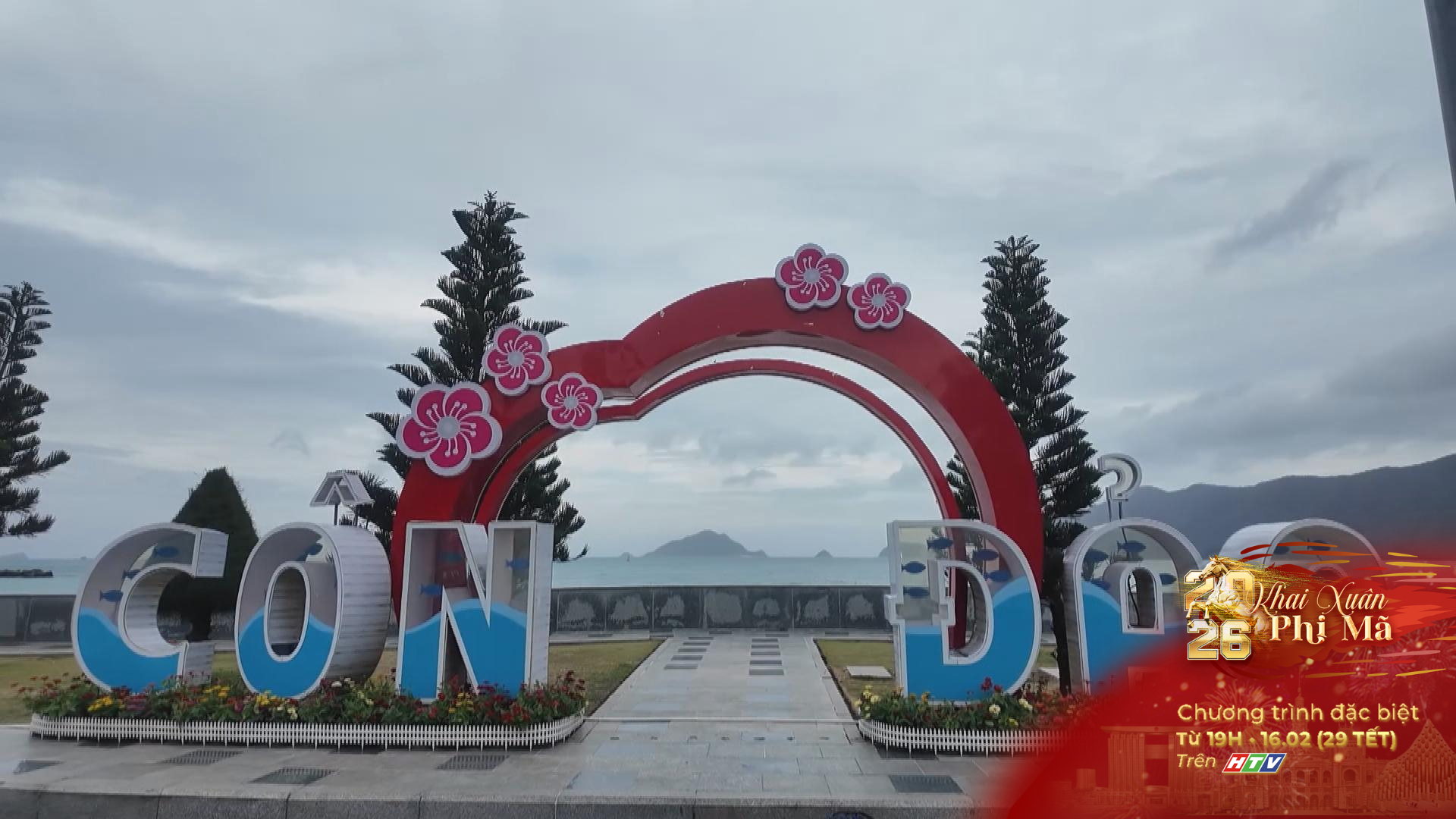 Sắc xuân bừng sáng trên đặc khu Côn Đảo - Ảnh 1.