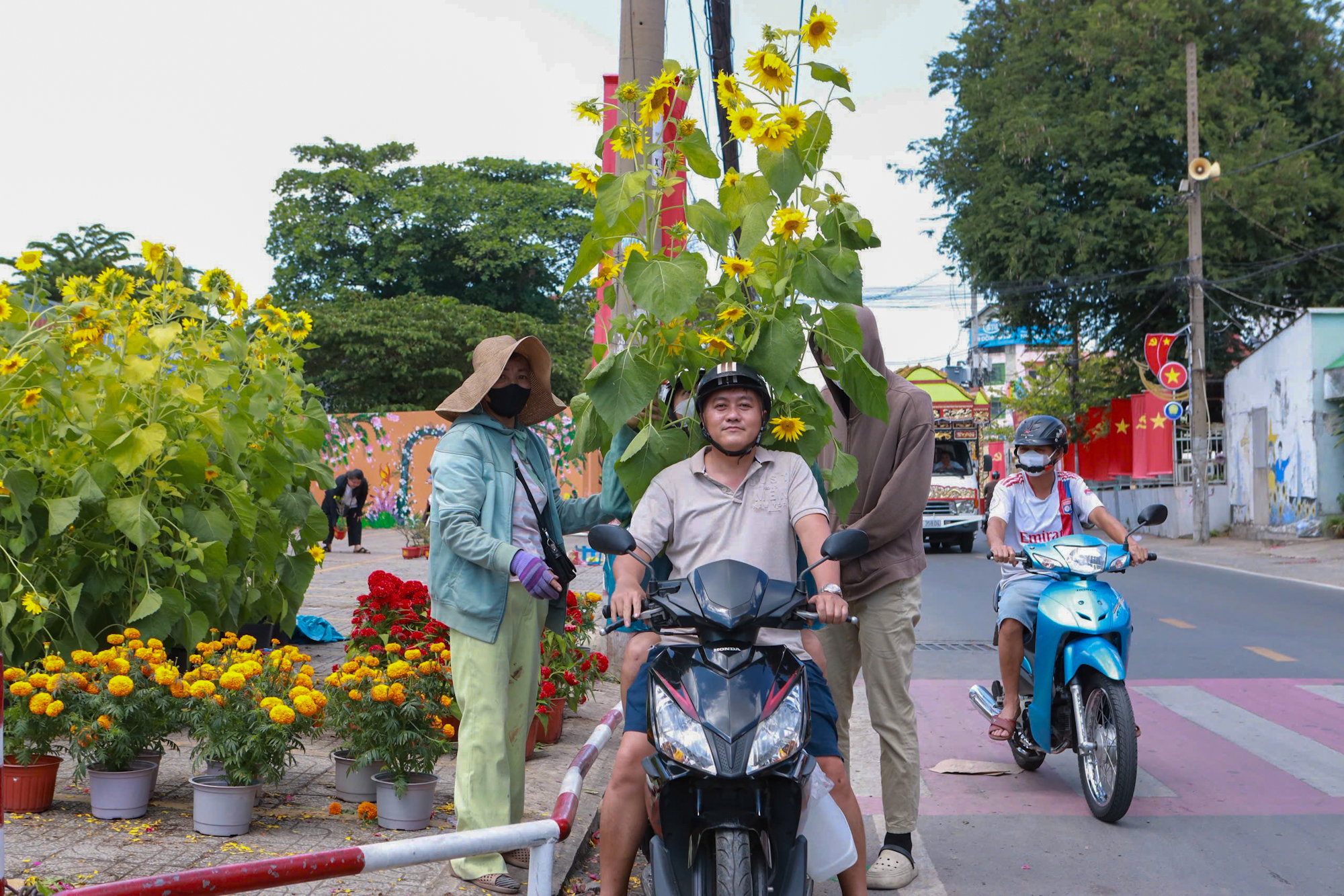 Hoa tết giảm giá “cháy hàng” thu hút người dân mua dịp tết 2026 - Ảnh 10.