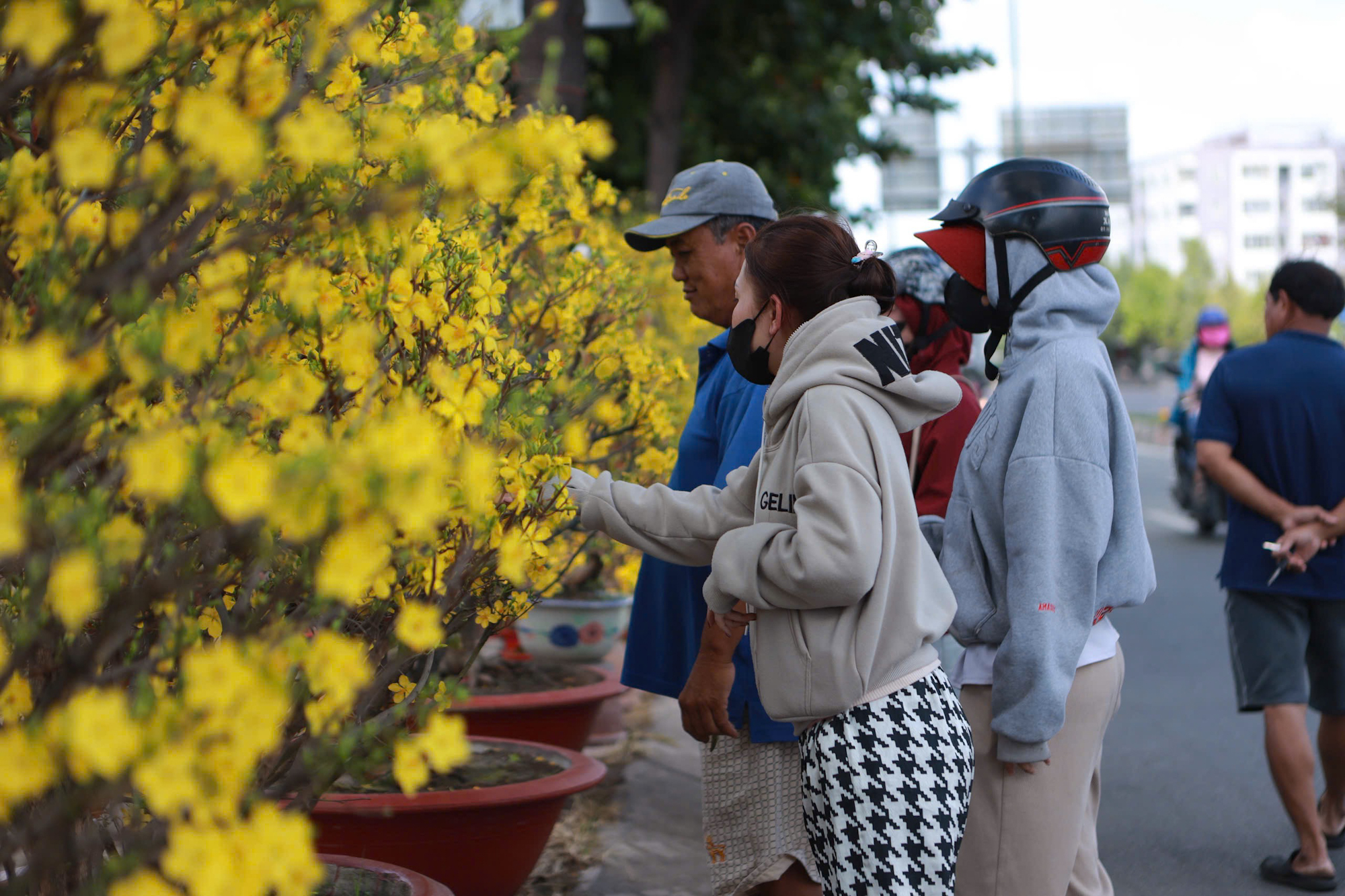 Hoa tết giảm giá “cháy hàng” thu hút người dân mua dịp tết 2026 - Ảnh 2.