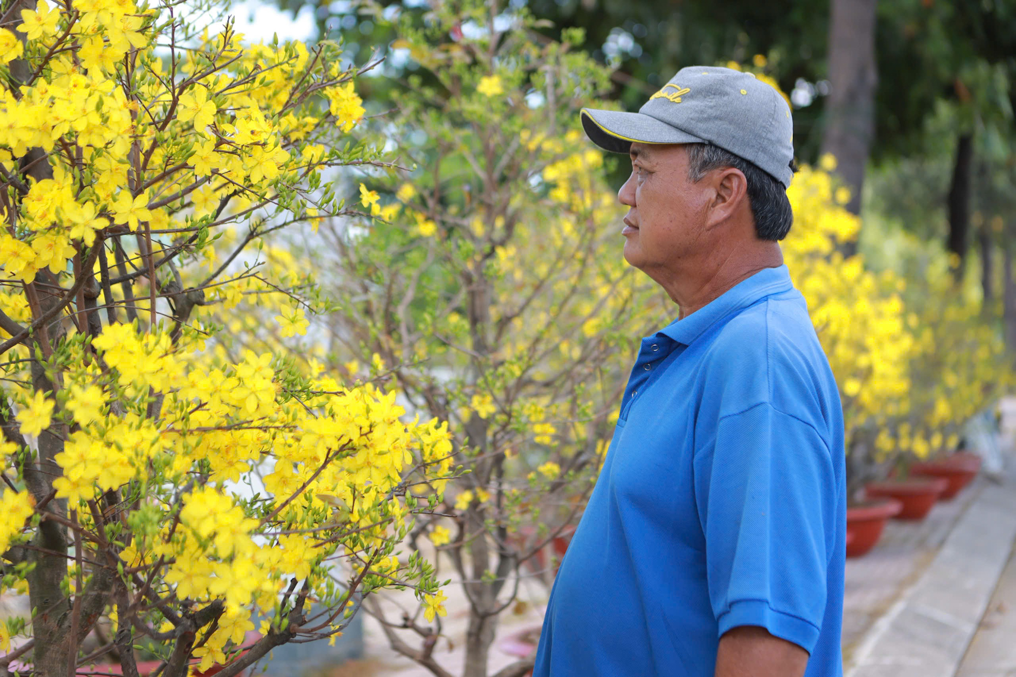 Hoa tết giảm giá “cháy hàng” thu hút người dân mua dịp tết 2026 - Ảnh 3.