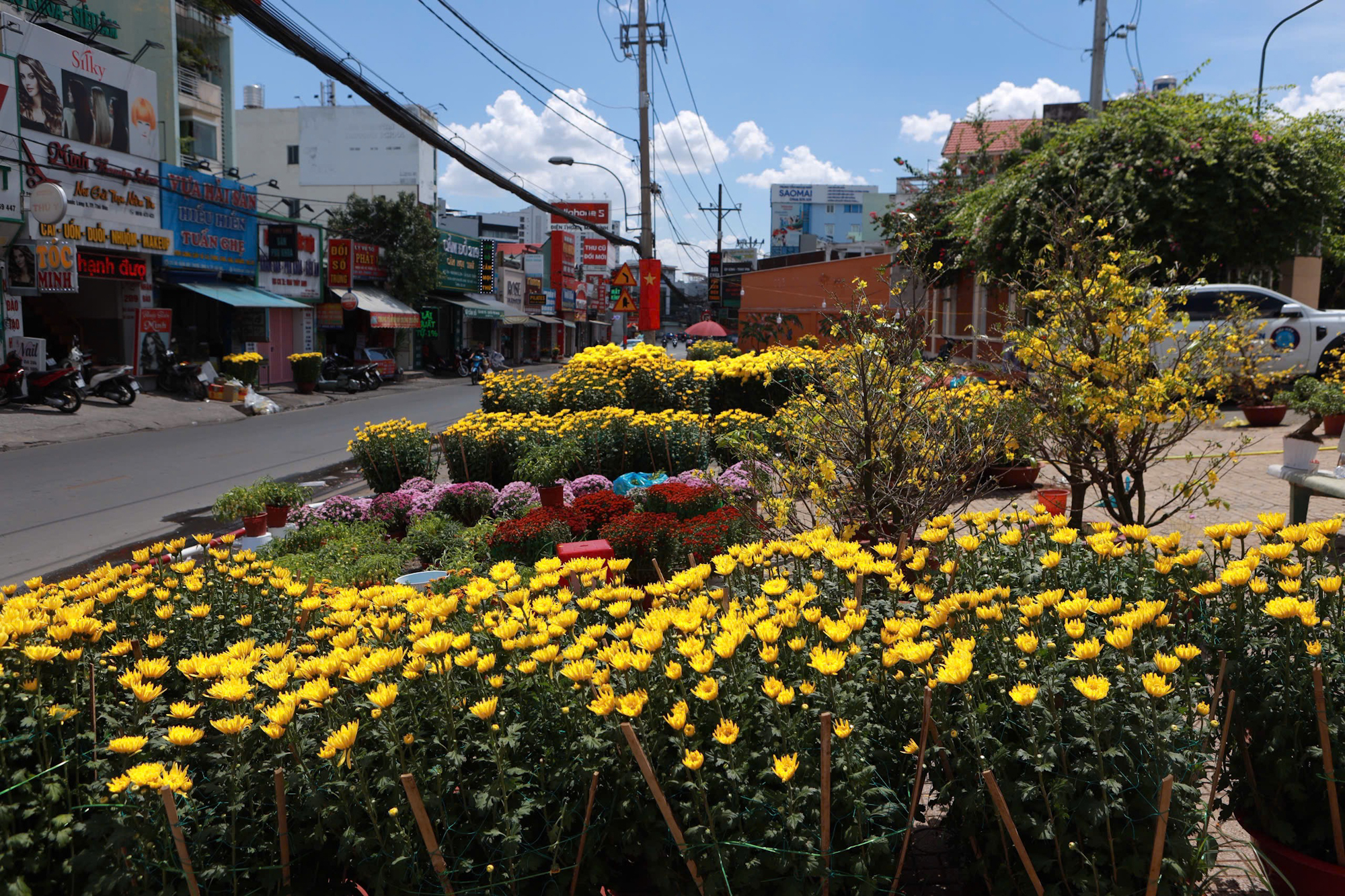 Hoa tết giảm giá “cháy hàng” thu hút người dân mua dịp tết 2026 - Ảnh 4.