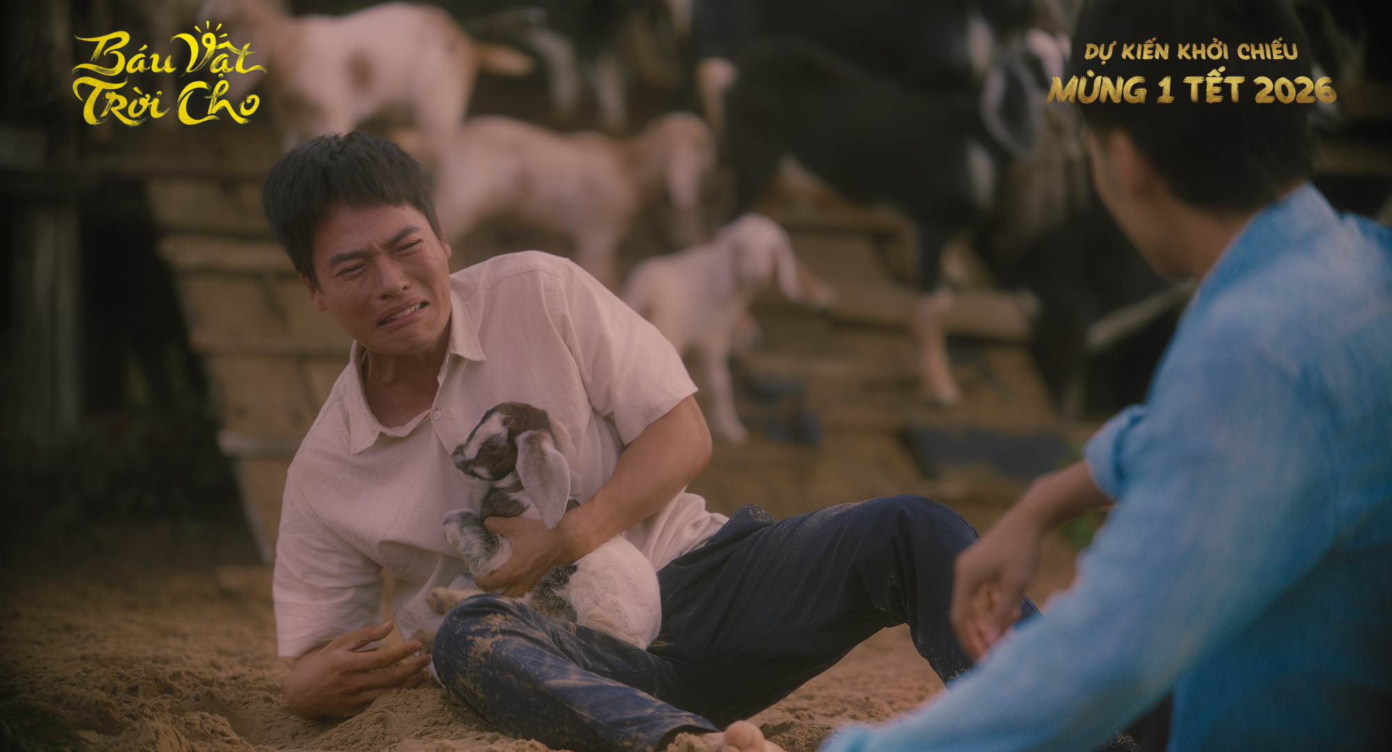 Phim Trấn Thành vững ngôi đầu, Trường Giang phía sau - Ảnh 8.