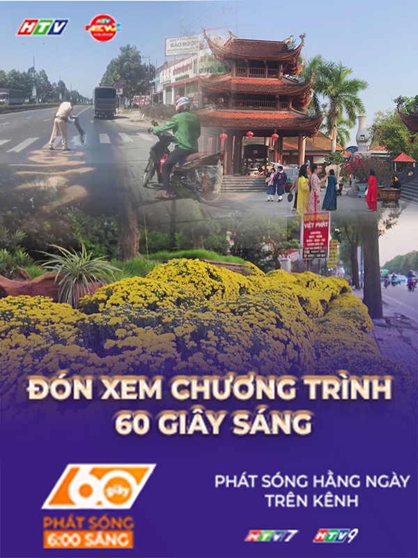 60 Giây ngày 2/2/2026 | TP. Hồ Chí Minh: Cúc mâm xôi giá rẻ phủ vàng nhiều tuyến đường