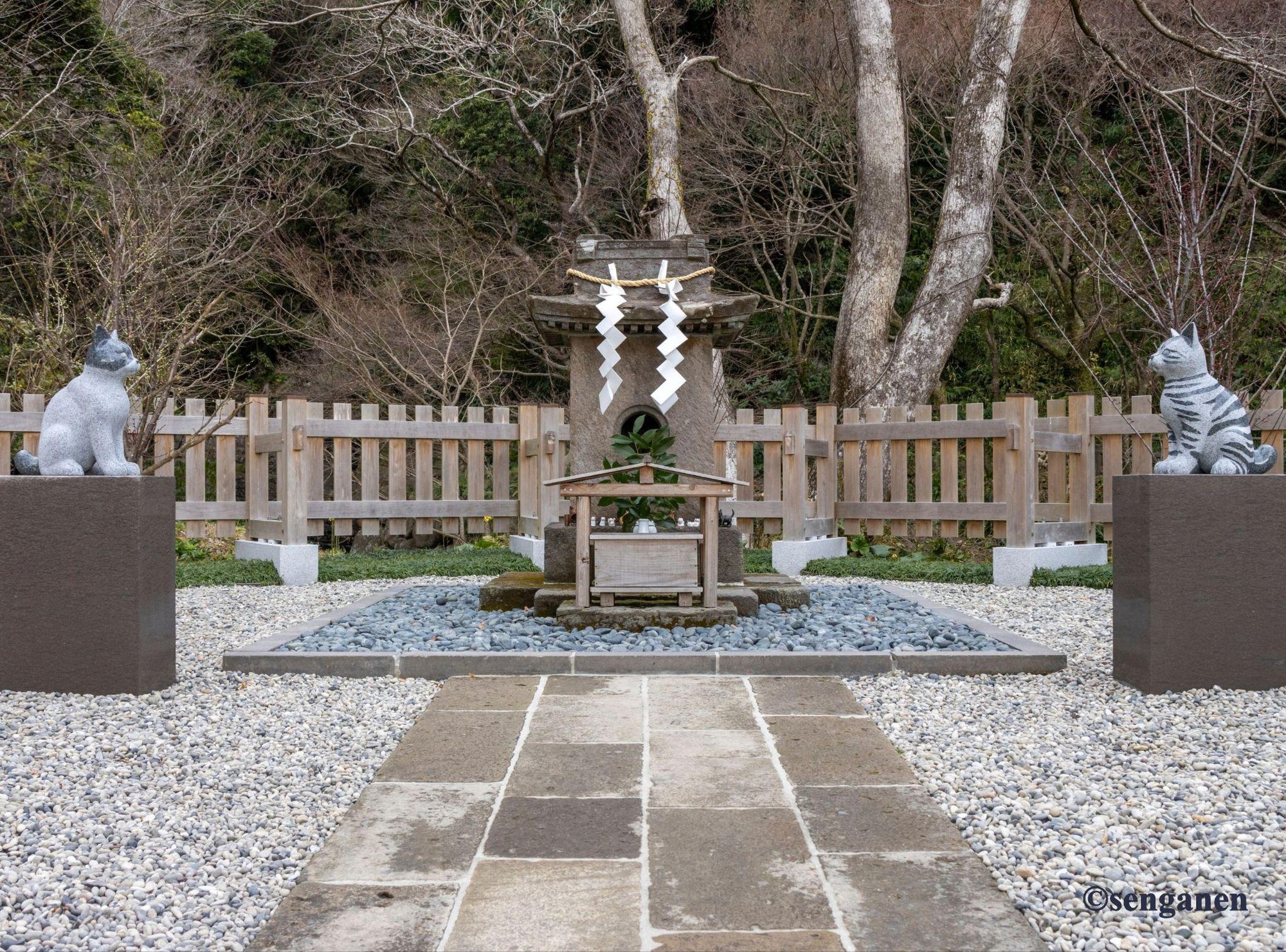 Mùa Xuân gõ cửa: Ngắm hoa anh đào khoe sắc tại Kyoshu Nhật Bản  - Ảnh 8.