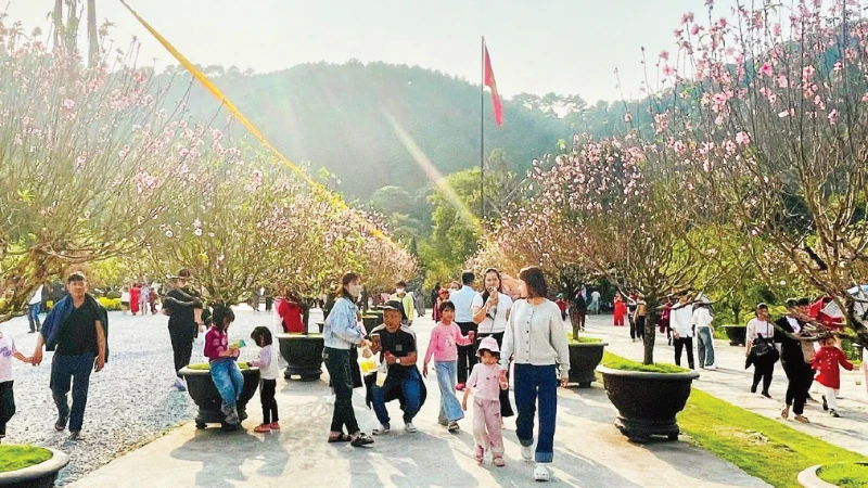 Ngành du lịch nối dài đà tăng trưởng tích cực