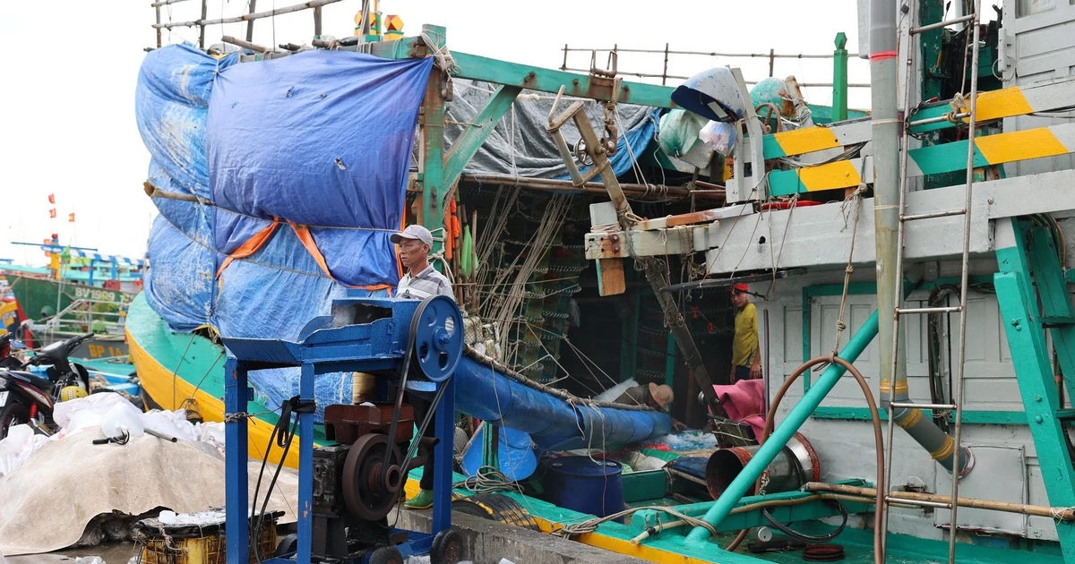 Ngư dân TP. Hồ Chí Minh phấn khởi ra khơi, kỳ vọng mùa biển bội thu