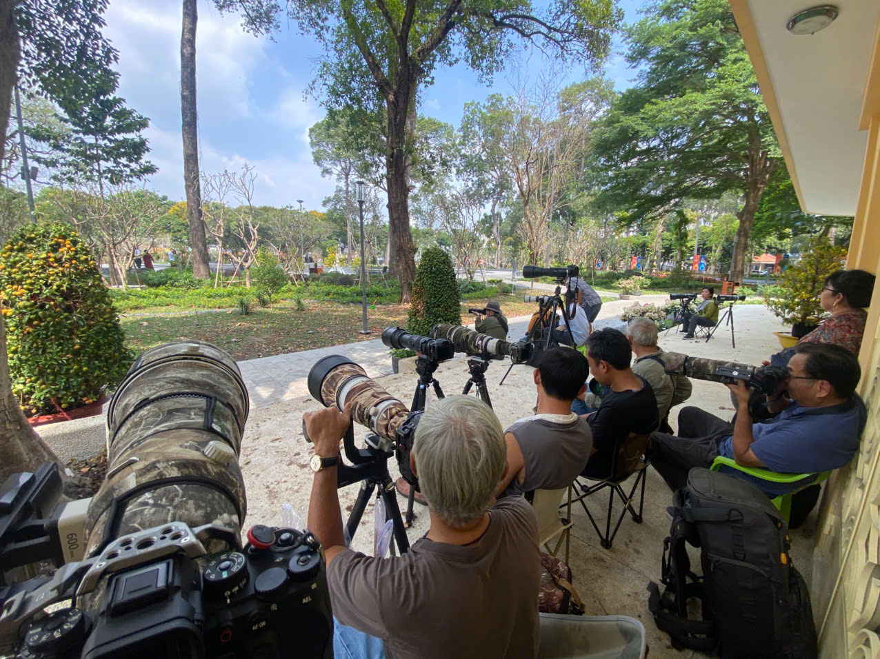 hồng tước - Ảnh 17.