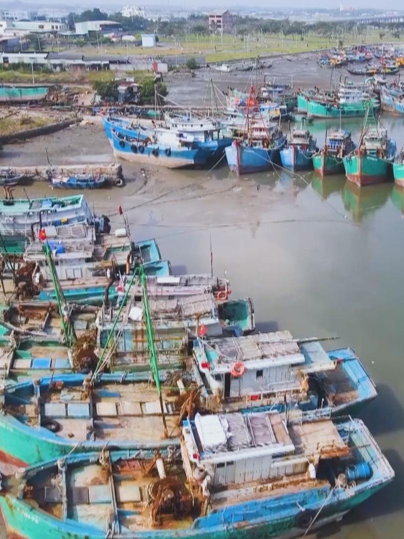 Siết chặt chống khai thác IUU tại TP. Hồ Chí Minh trước đợt kiểm tra của Ủy ban châu Âu