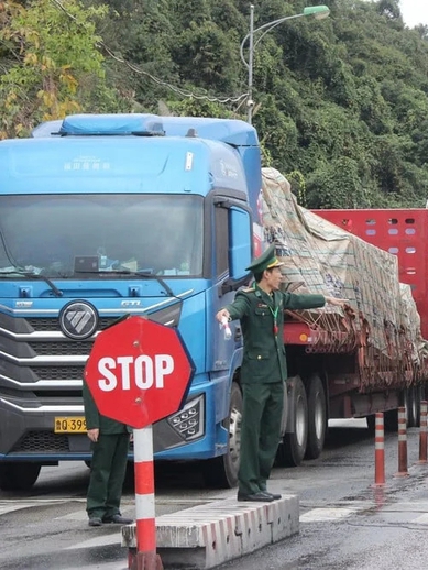 Tạm dừng áp dụng Nghị định số 46 về an toàn thực phẩm đến hết ngày 15/4/2026