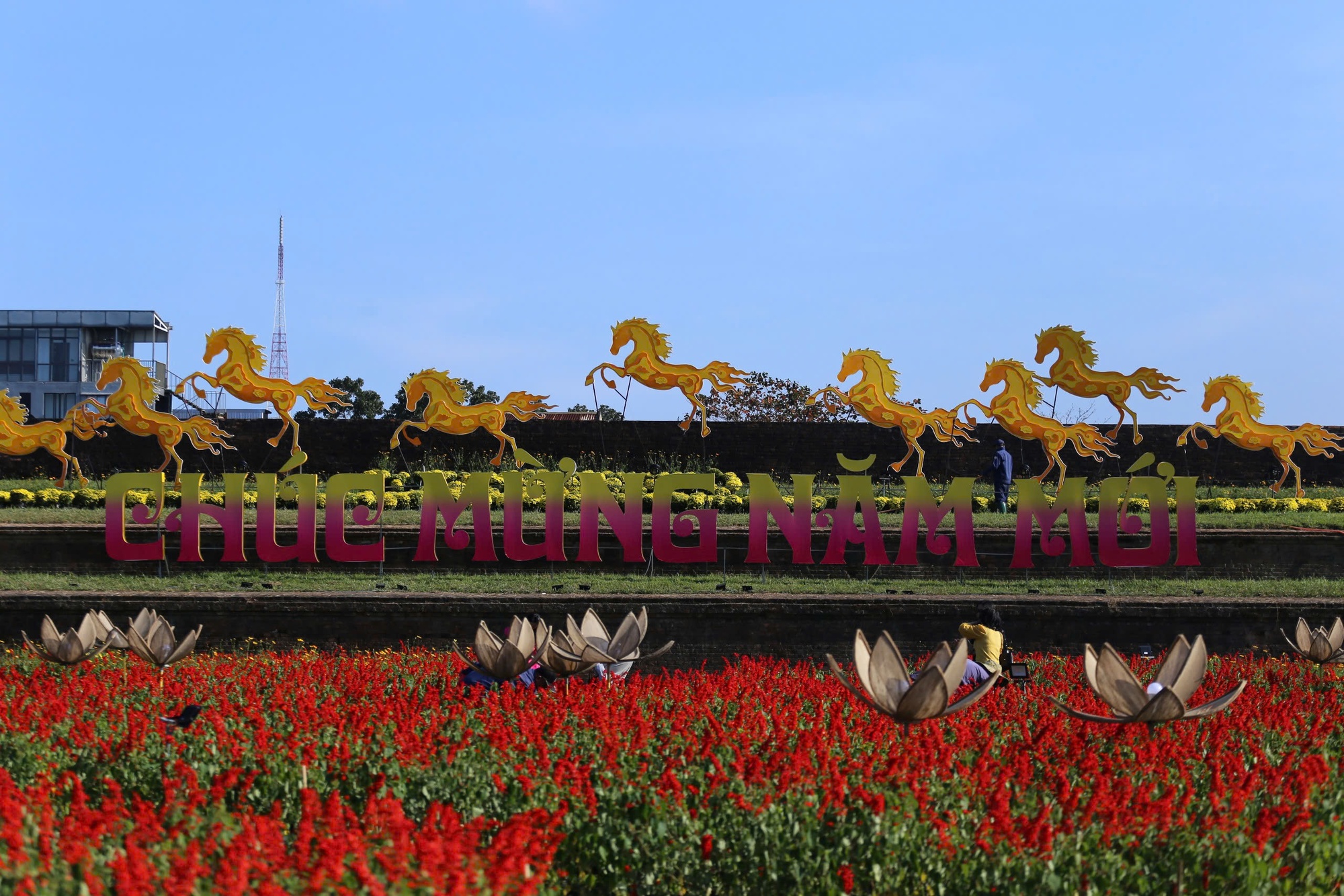 Linh vật ngựa và long mã xứ Huế cùng thành ngữ ''ngựa Thượng Tứ'' ít người biết- Ảnh 11.