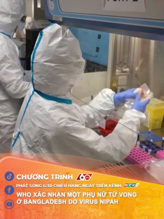 WHO xác nhận một phụ nữ tử vong ở Bangladesh do virus Nipah