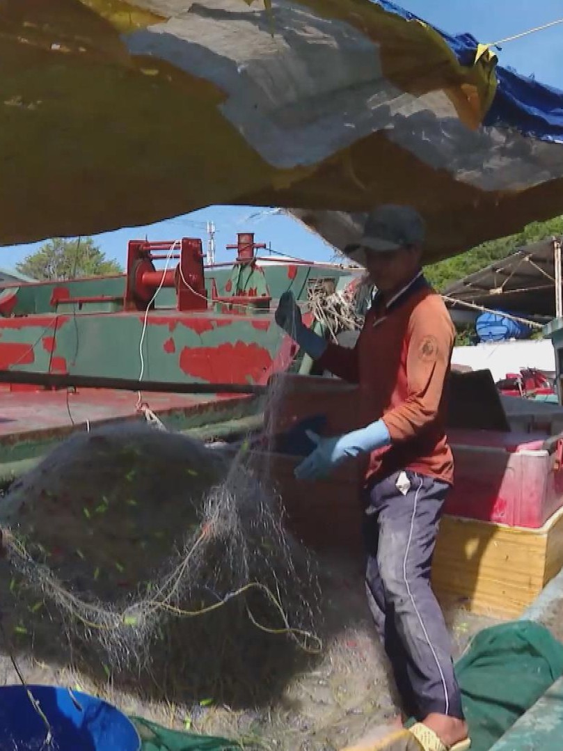 Nhiều tàu cá nằm bờ vì giá nhiên liệu tăng cao