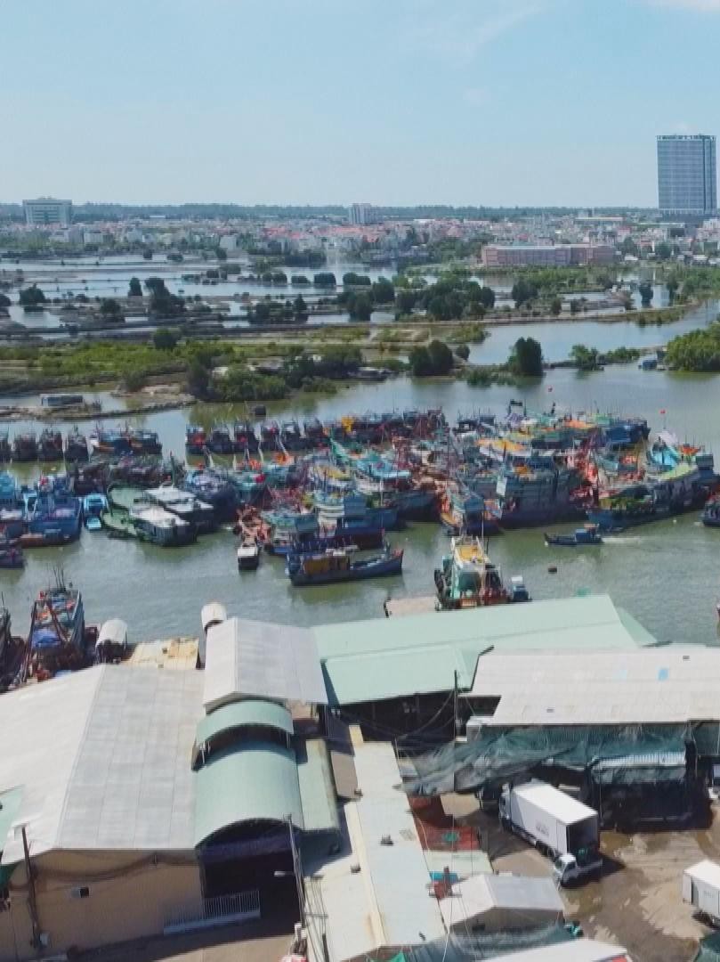 Ngư dân TP. Hồ Chí Minh nâng cao ý thức chấp hành quy định IUU khi vươn khơi