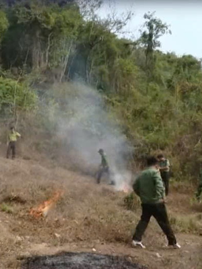 TP. Hồ Chí Minh: Chủ động phòng chống cháy rừng cao điểm mùa khô