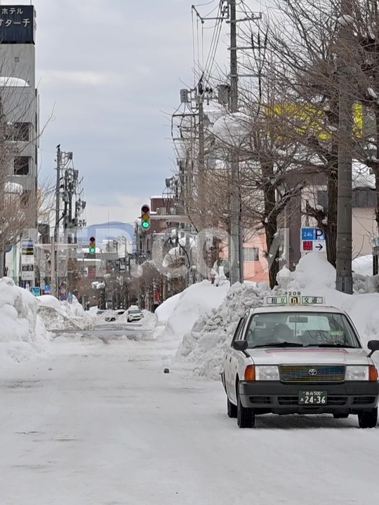 Nhật Bản: Số người thiệt mạng do tuyết rơi dày tăng lên 46 người