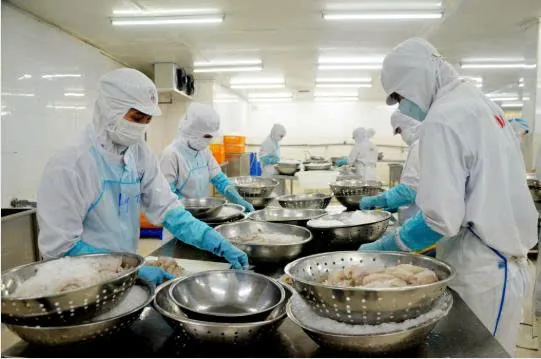 Thủy sản Việt Nam lần đầu mở rộng xuất khẩu tới 97 thị trường