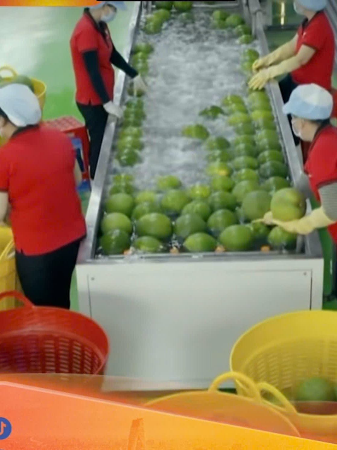 Biến động địa chính trị và bài toán thích ứng của DN xuất khẩu