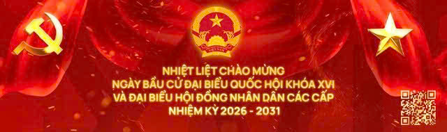 Thông tin các ứng cử viên Đại biểu Quốc hội Khóa XVI - Đơn vị bầu cử số 4 - Ảnh 7.
