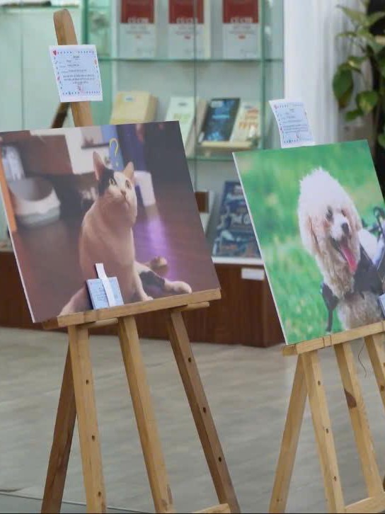 The Paw - Sitive Station: Khi yêu thương bắt đầu từ sự thấu hiểu và tôn trọng