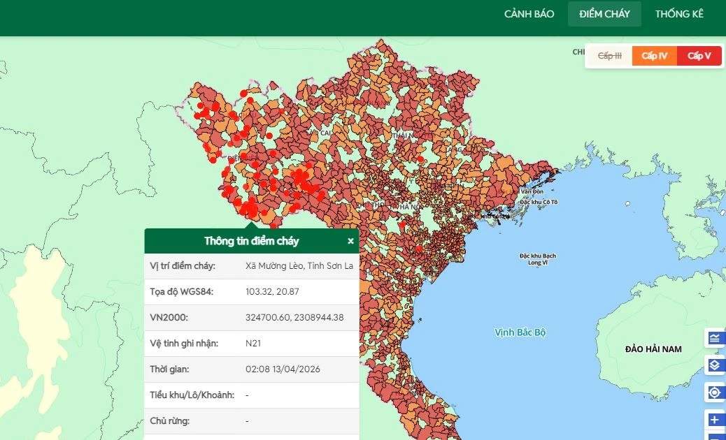 Nắng nóng gay gắt, cảnh báo nguy cơ cháy rừng tại nhiều khu vực trên cả nước