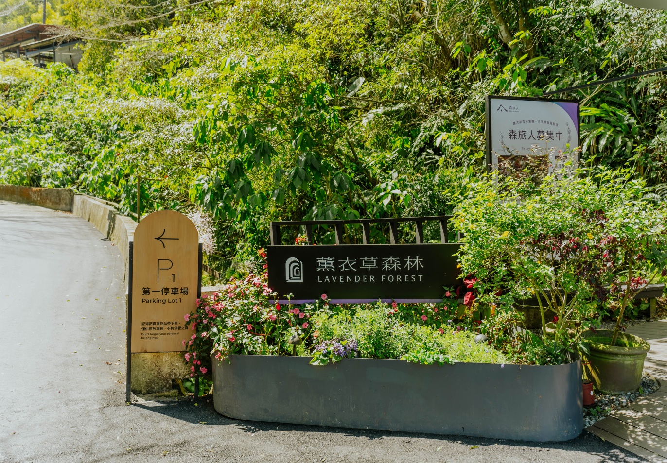 Sống chậm giữa Lavender Forest: Khi thiên nhiên trở thành liệu pháp tinh thần - Ảnh 1.