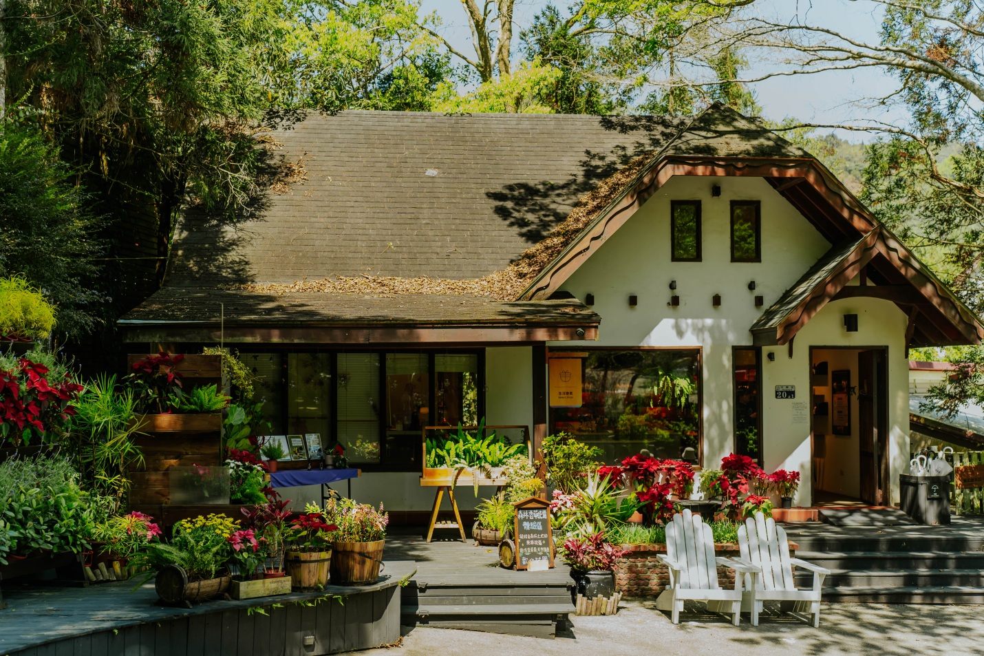 Sống chậm giữa Lavender Forest: Khi thiên nhiên trở thành liệu pháp tinh thần - Ảnh 3.