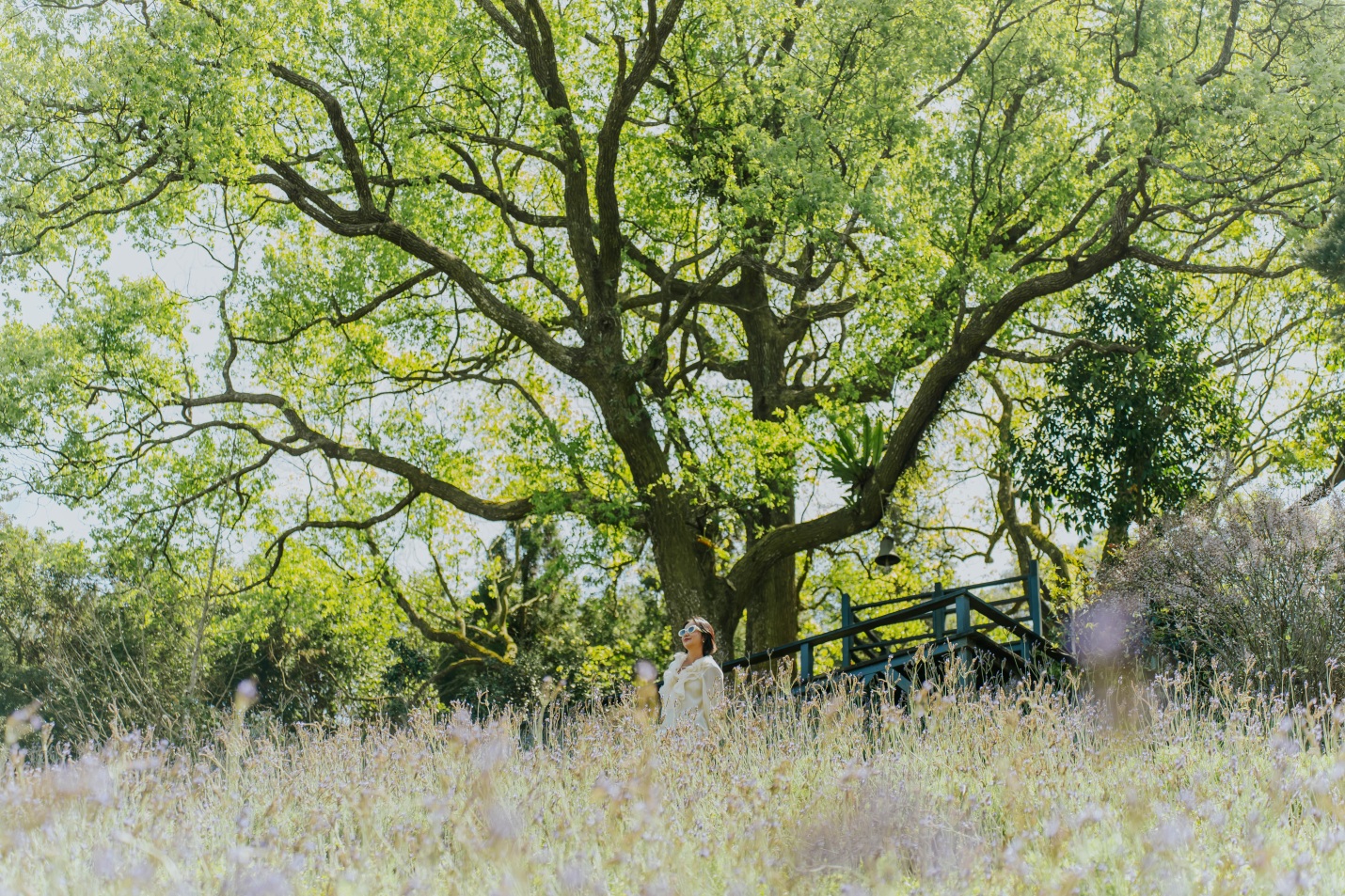 Sống chậm giữa Lavender Forest: Khi thiên nhiên trở thành liệu pháp tinh thần - Ảnh 5.