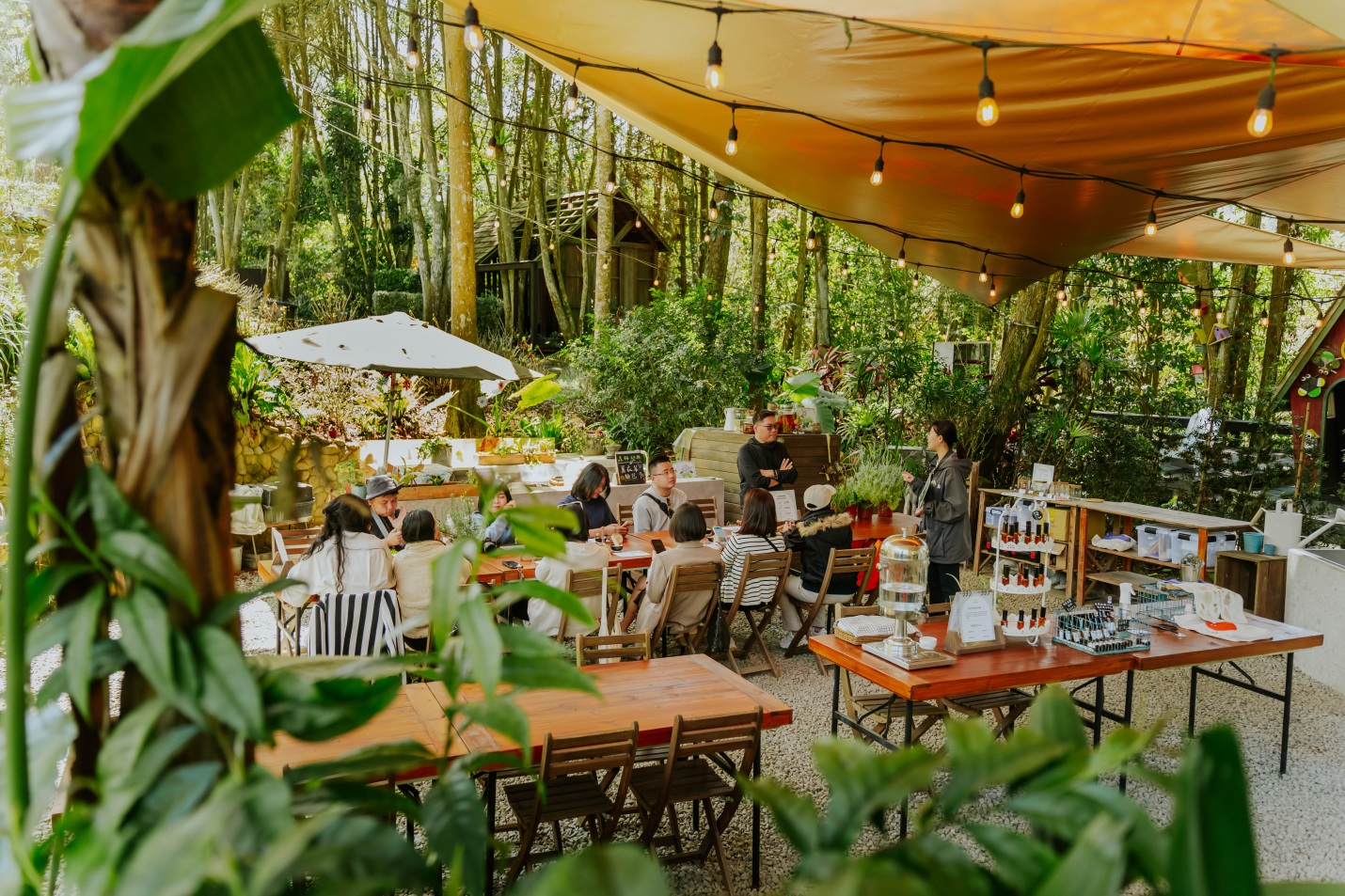 Sống chậm giữa Lavender Forest: Khi thiên nhiên trở thành liệu pháp tinh thần - Ảnh 7.
